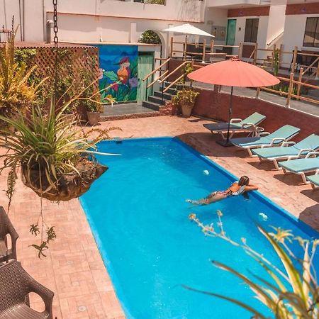 Hotel Villa Jazmin Ика Экстерьер фото